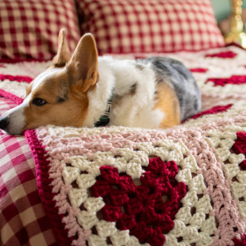 Granny Heart Blanket + 🎁